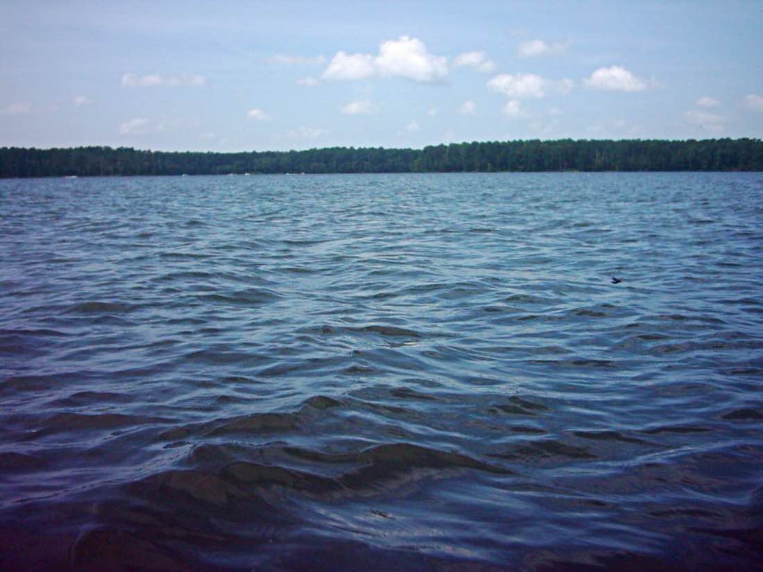 A wooded cove at Lake Conroe, Texas, showing the forested shoreline typical of Montgomery County waterfront properties